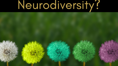 Gold writing on a Black background reading: "What is Neurodiversity?" Below that an image of five dandelion heads in a row, coloured white, yellow, blue, green and purple on a blurred green background.