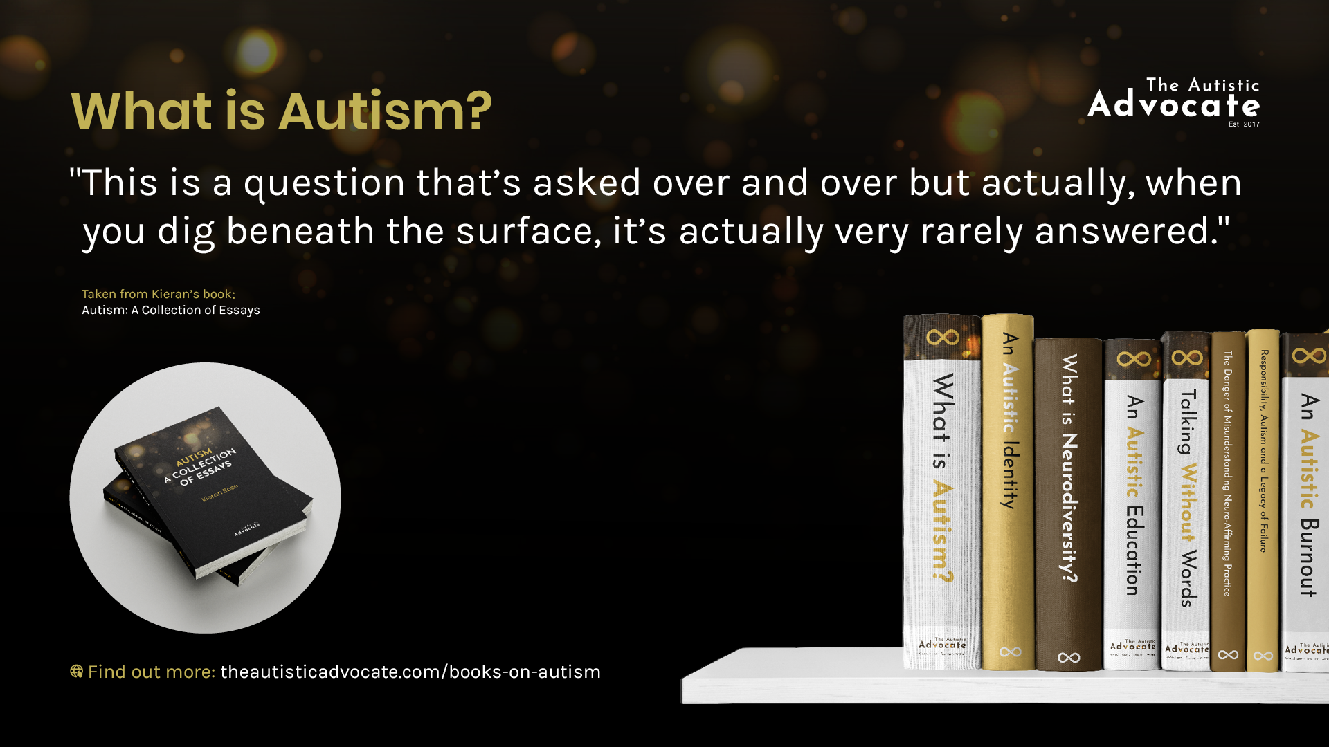 What Is Autism = collectio of essays book - Kieran Rose